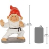 image:imageDesign Toscano QM16035 Garden Gnome Statue  Pool Party Pete Naked Gnome  Outdoor Garden Gnomes  Funny Lawn Gnome Statuesfull colorKarate Kobi