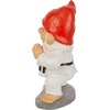image:imageDesign Toscano QM16035 Garden Gnome Statue  Pool Party Pete Naked Gnome  Outdoor Garden Gnomes  Funny Lawn Gnome Statuesfull colorKarate Kobi