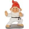 image:imageDesign Toscano QM16035 Garden Gnome Statue  Pool Party Pete Naked Gnome  Outdoor Garden Gnomes  Funny Lawn Gnome Statuesfull colorKarate Kobi