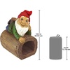 image:imageDesign Toscano QM16035 Garden Gnome Statue  Pool Party Pete Naked Gnome  Outdoor Garden Gnomes  Funny Lawn Gnome Statuesfull colorStormie T