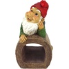 image:imageDesign Toscano QM16035 Garden Gnome Statue  Pool Party Pete Naked Gnome  Outdoor Garden Gnomes  Funny Lawn Gnome Statuesfull colorStormie T