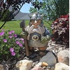 image:imageDesign Toscano QM16035 Garden Gnome Statue  Pool Party Pete Naked Gnome  Outdoor Garden Gnomes  Funny Lawn Gnome Statuesfull colorViking Valhalla