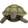image:imageDesign Toscano QM1887611 Gilbert the Box Turtle Garden Decor Animal StatueGilbert
