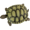 image:imageDesign Toscano QM1887611 Gilbert the Box Turtle Garden Decor Animal StatueGilbert