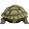 image:imageDesign Toscano QM1887611 Gilbert the Box Turtle Garden Decor Animal StatueGilbert