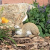 image:imageDesign Toscano QM200861 Bashful The Bunny Lying Down Rabbit Outdoor Garden