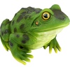 image:imageDesign Toscano QM20510 Ribbit The Frog Garden Toad Statue 9 Full ColorSingle