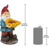 image:imageDesign Toscano QM2796400 Garden Gnome Statue  Kiss and Tell Lover Gnomes  Lawn Gnomefull colorSunflower Sammy