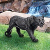 image:imageDesign Toscano Shadowed Predator Black Panther Garden Statue Medium 26 Inch Polyresin BlackSmall