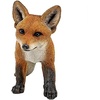 image:imageDesign Toscano Simon The Woodland Fox IndoorOutdoor Garden Statue for Patio Pool or Lawn 18 Inch Tall Cast Stone Resin Red Orange PaintCavorting Carmine