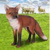 image:imageDesign Toscano Simon The Woodland Fox IndoorOutdoor Garden Statue for Patio Pool or Lawn 18 Inch Tall Cast Stone Resin Red Orange PaintEuropean