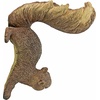 image:imageDesign Toscano Simone The Squirrel Hanging SculptureNG34034 Simone The Squirrel