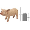 image:imageDesign Toscano Sleeping Pig StatueStanding