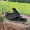 image:imageDesign Toscano Smell The Flowers Garden Bear Statue