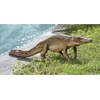 image:imageDesign Toscano Swamp Beast Lawn Alligator Crocodile Outdoor Garden Statue Large 37 Inch Long Cast Stone Resin Reptile Green FinishWalking Crocodile