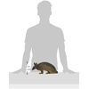 image:imageDesign Toscano Tank the Armadillo Garden StatueTank