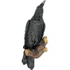 image:imageDesign Toscano The Ravens Perch Gothic Decor Wall Sculpture Single75 x 5 x 18 inches