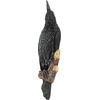 image:imageDesign Toscano The Ravens Perch Gothic Decor Wall Sculpture Single75 x 5 x 18 inches
