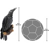 image:imageDesign Toscano The Ravens Perch Gothic Decor Wall Sculpture Single75 x 5 x 18 inches