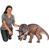 image:imageDesign Toscano Triceratops Scaled Dinosaur Statue