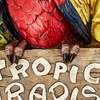 image:imageDesign Toscano Tropic Parrot Paradise Wall Sculpture 10 Inch