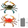 image:imageDesign Toscano Tropical Crabs Wall Sculpture Set of 2