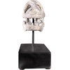 image:imageDesign Toscano Velociraptor Dinosaur Skull Fossil Statue on Museum Mount
