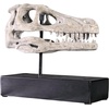 image:imageDesign Toscano Velociraptor Dinosaur Skull Fossil Statue on Museum Mount