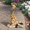 image:imageDesign Toscano Zari the Resting Giraffe Statue
