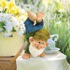 image:imageGarden Gnome Statue  Handstand Henry  Lawn GnomeHandstand Henry