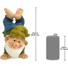 image:imageGarden Gnome Statue  Handstand Henry  Lawn GnomeHandstand Henry