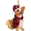 Welsh Corgi