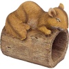 Jolly the Squirrel
