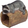 Raider the Raccoon
