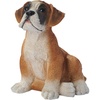 Boxer