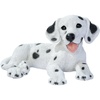 Dalmatian