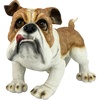 Winston The British Bulldog