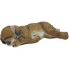 Dozing Doggie