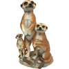 Meerkat Family
