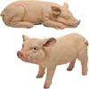 image:imageDesign Toscano Sleeping Pig StatueSet of 2