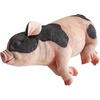 image:imageDesign Toscano Sleeping Pig StatueSleeping Pig Statue
