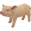 image:imageDesign Toscano Sleeping Pig StatueStanding