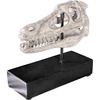 image:imageDesign Toscano Velociraptor Dinosaur Skull Fossil Statue on Museum Mount