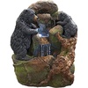 Grizzly Gulch Black Bears