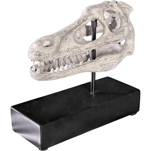image:imageDesign Toscano Velociraptor Dinosaur Skull Fossil Statue on Museum Mount