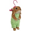 image:imageDesign Toscano Hanger Hare Hanging Bunny Rabbit StatueSingle
