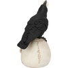 image:imageDesign Toscano Mystic Night Raven StatuesHarbinger of Doom