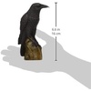 image:imageDesign Toscano Mystic Night Raven StatuesMystic Night