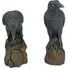 image:imageDesign Toscano Mystic Night Raven StatuesMystic Night