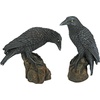 image:imageDesign Toscano Mystic Night Raven StatuesMystic Night
